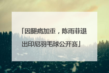 因腿痛加重，陈雨菲退出印尼羽毛球公开赛