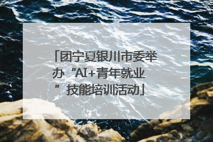 团宁夏银川市委举办“AI+青年就业”技能培训活动