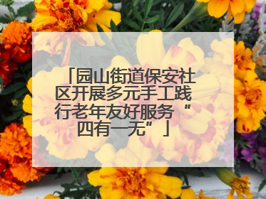 园山街道保安社区开展多元手工践行老年友好服务“四有一无”