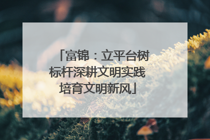富锦：立平台树标杆深耕文明实践培育文明新风