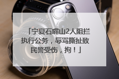 宁夏石嘴山2人阻拦执行公务，辱骂撕扯致民警受伤，拘！