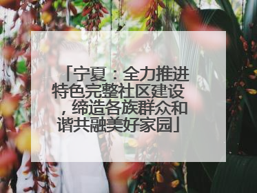 宁夏：全力推进特色完整社区建设，缔造各族群众和谐共融美好家园