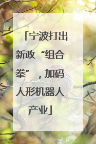 宁波打出新政“组合拳”，加码人形机器人产业