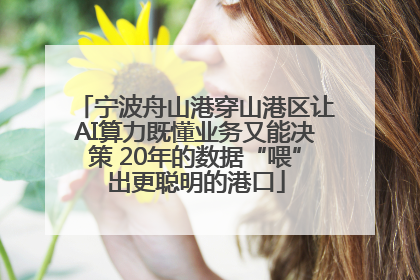 宁波舟山港穿山港区让AI算力既懂业务又能决策 20年的数据“喂”出更聪明的港口