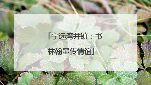宁远湾井镇：书林翰墨传情谊