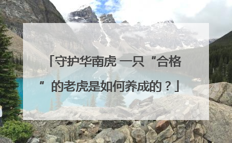 守护华南虎 一只“合格”的老虎是如何养成的？