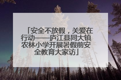 安全不放假，关爱在行动——庐江县同大镇农林小学开展暑假前安全教育大家访