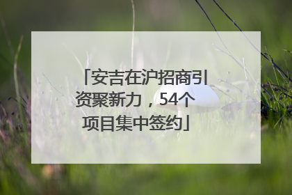 安吉在沪招商引资聚新力，54个项目集中签约