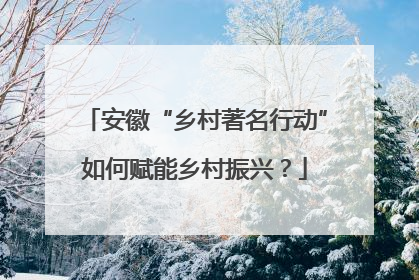 安徽“乡村著名行动”如何赋能乡村振兴？