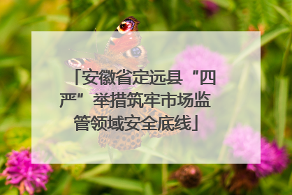 安徽省定远县“四严”举措筑牢市场监管领域安全底线