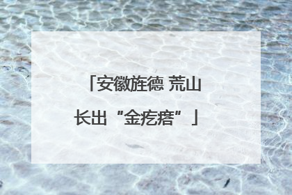 安徽旌德 荒山长出“金疙瘩”