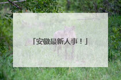 安徽最新人事！