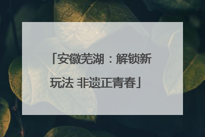 安徽芜湖：解锁新玩法 非遗正青春