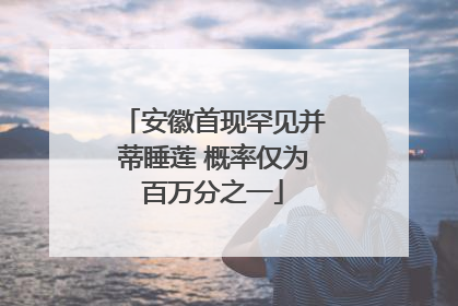 安徽首现罕见并蒂睡莲 概率仅为百万分之一