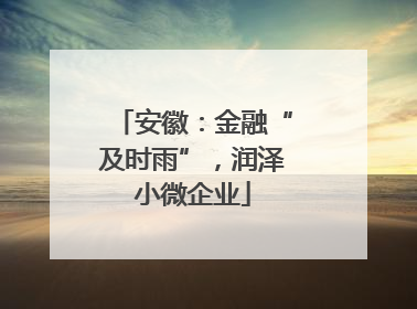 安徽：金融“及时雨”，润泽小微企业