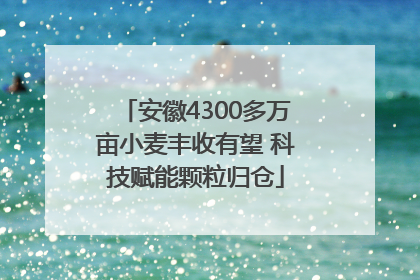 安徽4300多万亩小麦丰收有望 科技赋能颗粒归仓