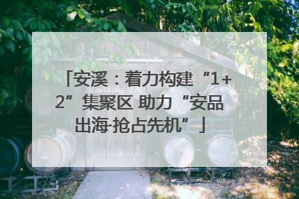 安溪：着力构建“1+2”集聚区 助力“安品出海·抢占先机”