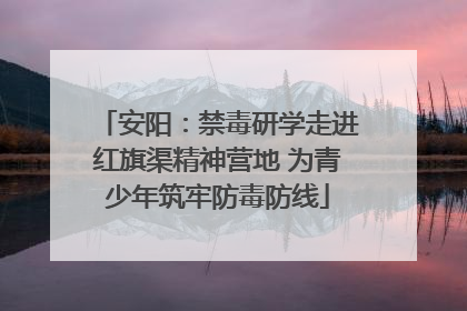 安阳：禁毒研学走进红旗渠精神营地 为青少年筑牢防毒防线