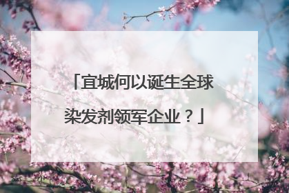 宜城何以诞生全球染发剂领军企业？