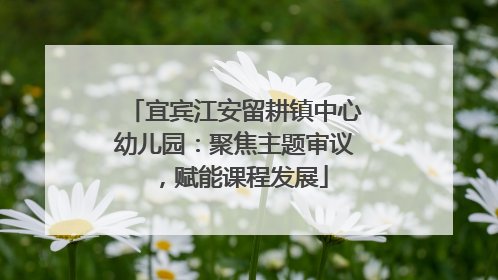 宜宾江安留耕镇中心幼儿园：聚焦主题审议，赋能课程发展