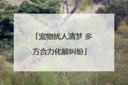 宠物扰人清梦 多方合力化解纠纷