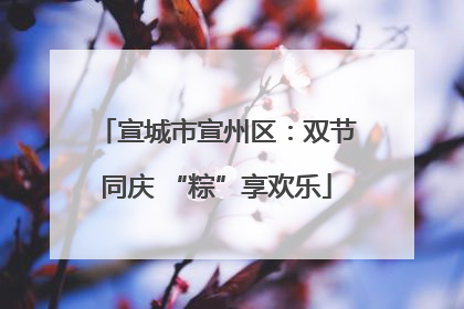 宣城市宣州区：双节同庆 “粽”享欢乐