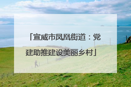 宣威市凤凰街道：党建助推建设美丽乡村