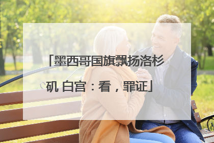 墨西哥国旗飘扬洛杉矶 白宫：看，罪证