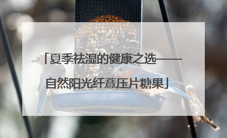 夏季祛湿的健康之选——自然阳光纤薏压片糖果