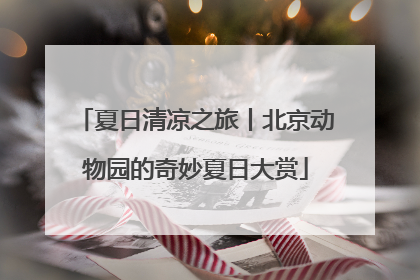 夏日清凉之旅丨北京动物园的奇妙夏日大赏