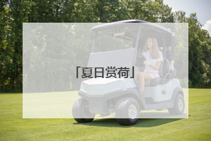 夏日赏荷