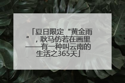 夏日限定“黄金雨”，耿马仿若在画里——有一种叫云南的生活之365天