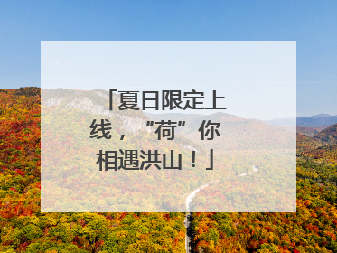 夏日限定上线，“荷”你相遇洪山！