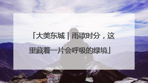 大美东城｜雨歇时分，这里藏着一片会呼吸的绿境