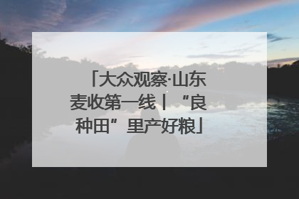 大众观察·山东麦收第一线丨“良种田”里产好粮