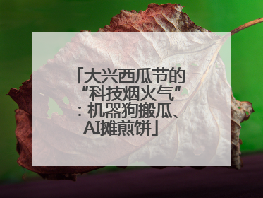 大兴西瓜节的“科技烟火气”：机器狗搬瓜、AI摊煎饼