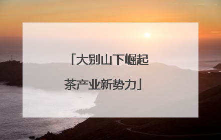 大别山下崛起茶产业新势力