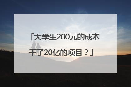 大学生200元的成本干了20亿的项目？