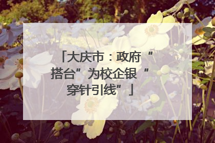 大庆市：政府“搭台”为校企银“穿针引线”