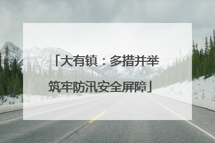 大有镇：多措并举筑牢防汛安全屏障