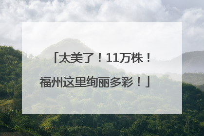 太美了！11万株！福州这里绚丽多彩！