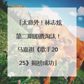 太意外！林志炫第二期即遭淘汰！马嘉祺《歌手2025》揭榜成功