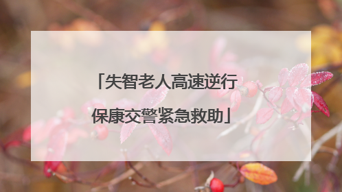 失智老人高速逆行 保康交警紧急救助