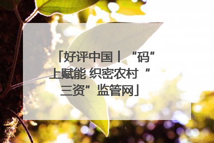 好评中国丨“码”上赋能 织密农村“三资”监管网