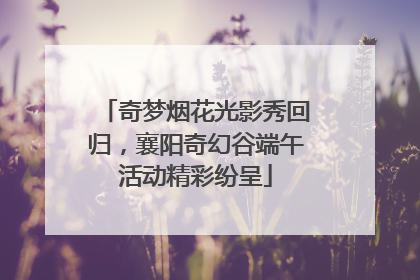 奇梦烟花光影秀回归,襄阳奇幻谷端午活动精彩纷呈