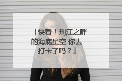 快看！荆江之畔的海底星空 你去打卡了吗？