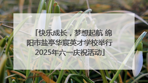 快乐成长，梦想起航 绵阳市盐亭华宸英才学校举行2025年六一庆祝活动
