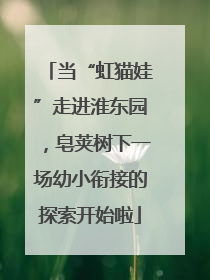 当“虹猫娃”走进淮东园，皂荚树下一场幼小衔接的探索开始啦