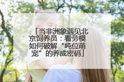 当非洲象遇见北京饲养员：看劳模如何破解“吨位萌宠”的养成密码