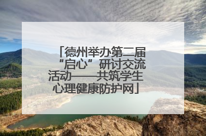 德州举办第二届“启心”研讨交流活动——共筑学生心理健康防护网